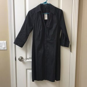 Pinstriped Express Button Down Dress